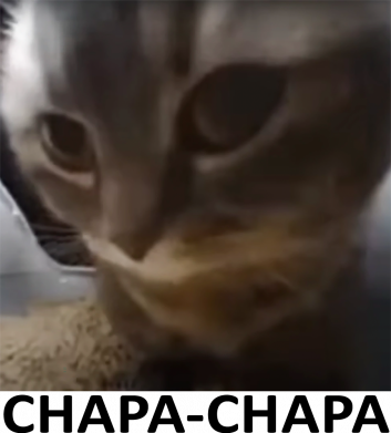 Chapa-Chapa