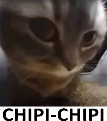Chipi-Chipi
