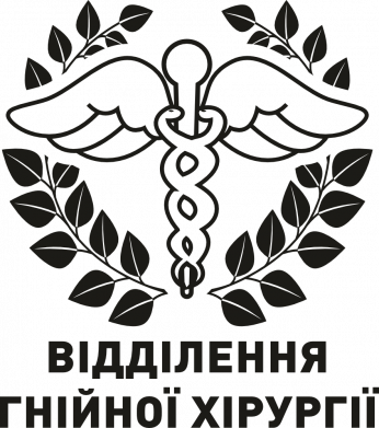 Термобутылка Viano Отделение гнойной хирургии 2