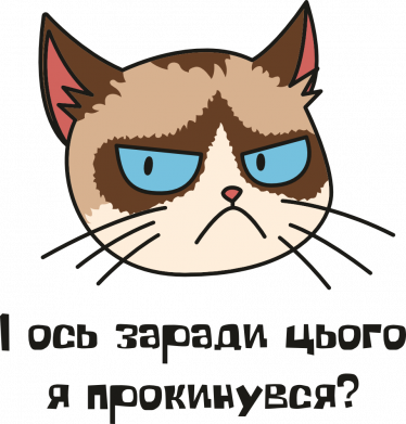 Недовольный кот. Ради этого я проснулся?