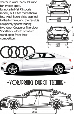 Кружка-хамелеон Audi S5 2