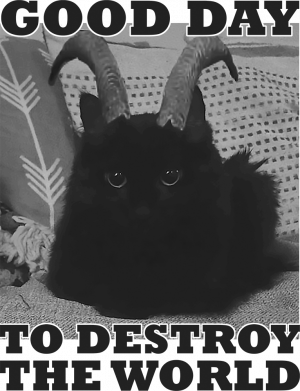 Принт Женская спортивная футболка Good Day to Destroy the World, Фото № 2 - FATLINE