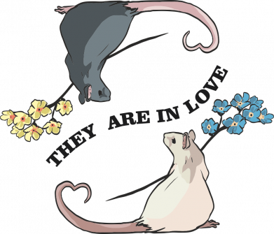 Чехол из раздела Мышь Влюбленные крысы для Oppo A55 4G 2