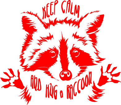 Худи унисекс Keep calm and hug a raccoon 2