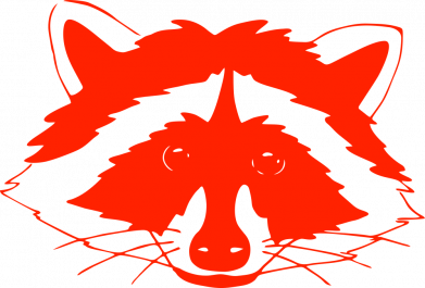 Футболка поло чоловіча Cute raccoon face 2