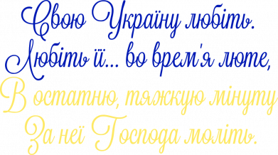 Шеврон щит Свою Україну любіть! 2