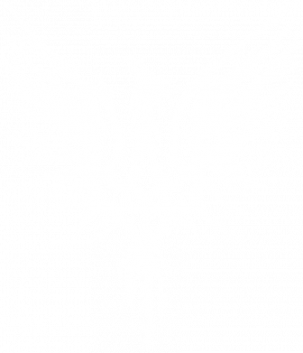 Ніж розкладний Український герб тризуб фенікс 2