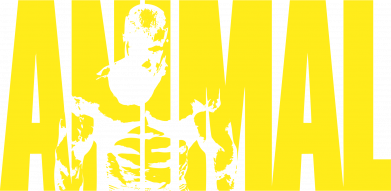 Принт Мужская футболка Stedman Animal Gym Boss, Фото № 2 - FATLINE