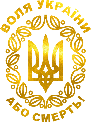 Чоловіча футболка Stedman Герб України з візерунком Голограма 2