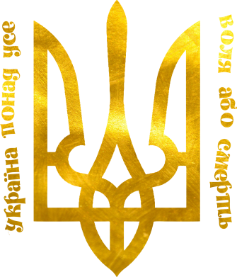 Мужская футболка Stedman Украина превыше всего! Свобода или смерть! Голограмма 2