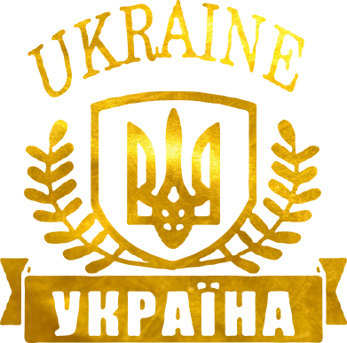 Мужская футболка Stedman Ukraine Украина Голограмма 2