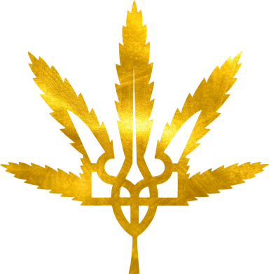 Мужская футболка Stedman Герб Украины Каннабис Голограмма 2