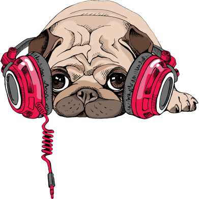 Женская футболка Doug the pug 2