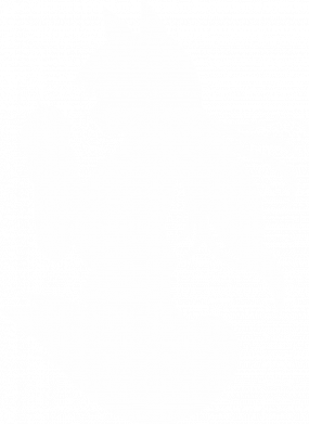 Детская футболка Anime Spice and Wolf 2