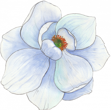 Худі полегшене Watercolor flower 2