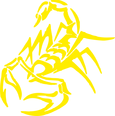 Чоловіча футболка Stedman 2 скорпіон 2