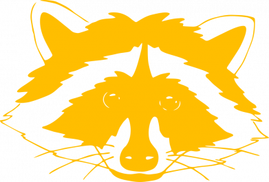 Женская футболка Cute raccoon face 2