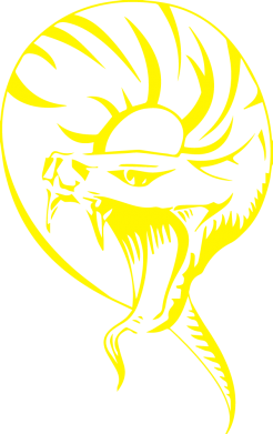 Принт Камуфляжная футболка Snake, Фото № 2 - FATLINE