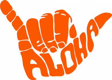 Мужская футболка Stedman Aloha Hawai 2