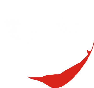 Чохол з розділу Batman Джокер для Apple iPhone 14 Pro 2