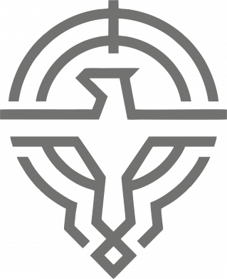 Силы Безпилотных Систем