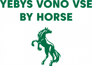 Женская футболка Yebys vono vse by horse 2