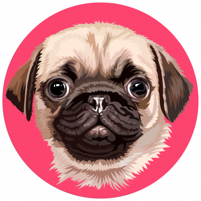 Шеврон щит Мопс 2