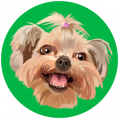 Футболка оверсайз FATLINE Ши-тцу 2