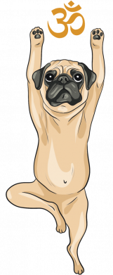 Женская футболка йога мопс в позе дерева 2