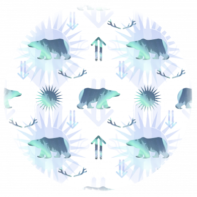 Бутылка металлическая Jumbo Север 2