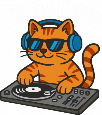 Принт Чохол для Realme GT Master Dj Котя, Фото № 2 - FATLINE