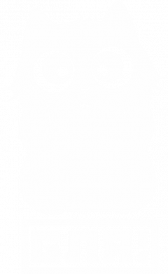 Мужская футболка Stedman Испуганный черный кот 2