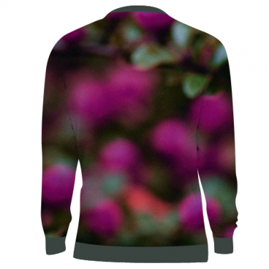 3D свитшот Little owl 2