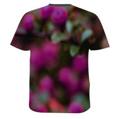 Чоловіча 3D футболка Little owl 2