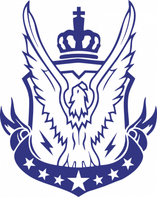 Женская футболка Call of Duty eagle 2