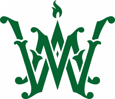 Мужская футболка Stedman Wonder Makers 2