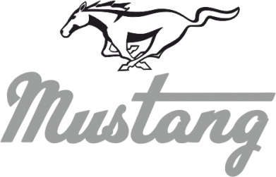 Рюкзак-мешок для ноутбука Ford Mustang 2