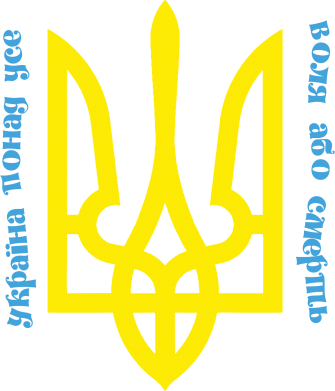 Принт Чоловіча худі на блискавці Україна понад усе! Воля або смерть!, Фото № 2 - FatLine