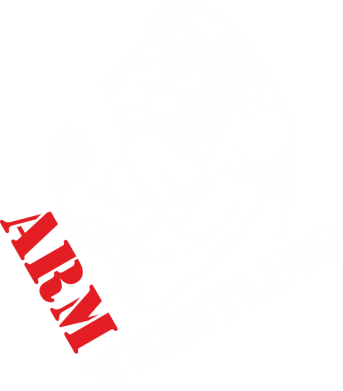 Свитшот унисекс TM Gildan Arm Wrestling 2