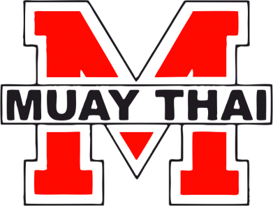 Кружка 320ml Muay Thai Big M 2