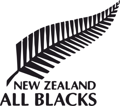 Мужская футболка Stedman new zealand all blacks 2