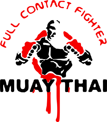 Кружка 320ml Muay Thai Full Contact 2