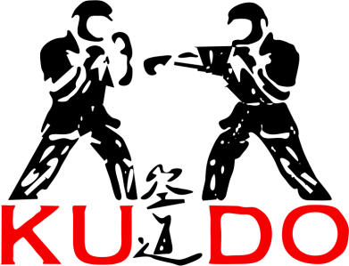 Кружка 320ml Kudo Fight 2