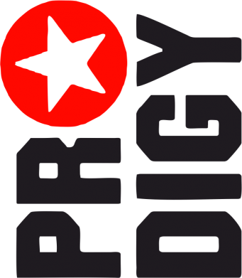 Шапка на флісі The Prodigy Зірка 2