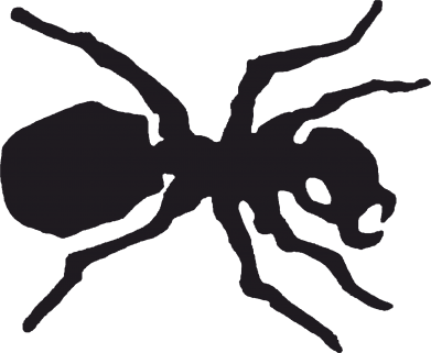 Жіноча футболка Мураха 2