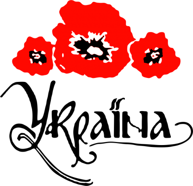 Мужская футболка Stedman Квітуча Україна 2