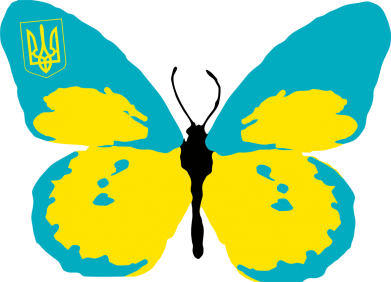 Детская футболка Український метелик 2