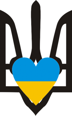 Шапка на флисе Герб з серцем 2