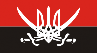 Футболка оверсайз FATLINE Герб та шаблі 2