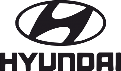 Бутылка для воды HYUNDAI 2